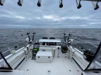 Wellcraft 290 Coastal (2001) – 2×Mercury Verado 350 HK